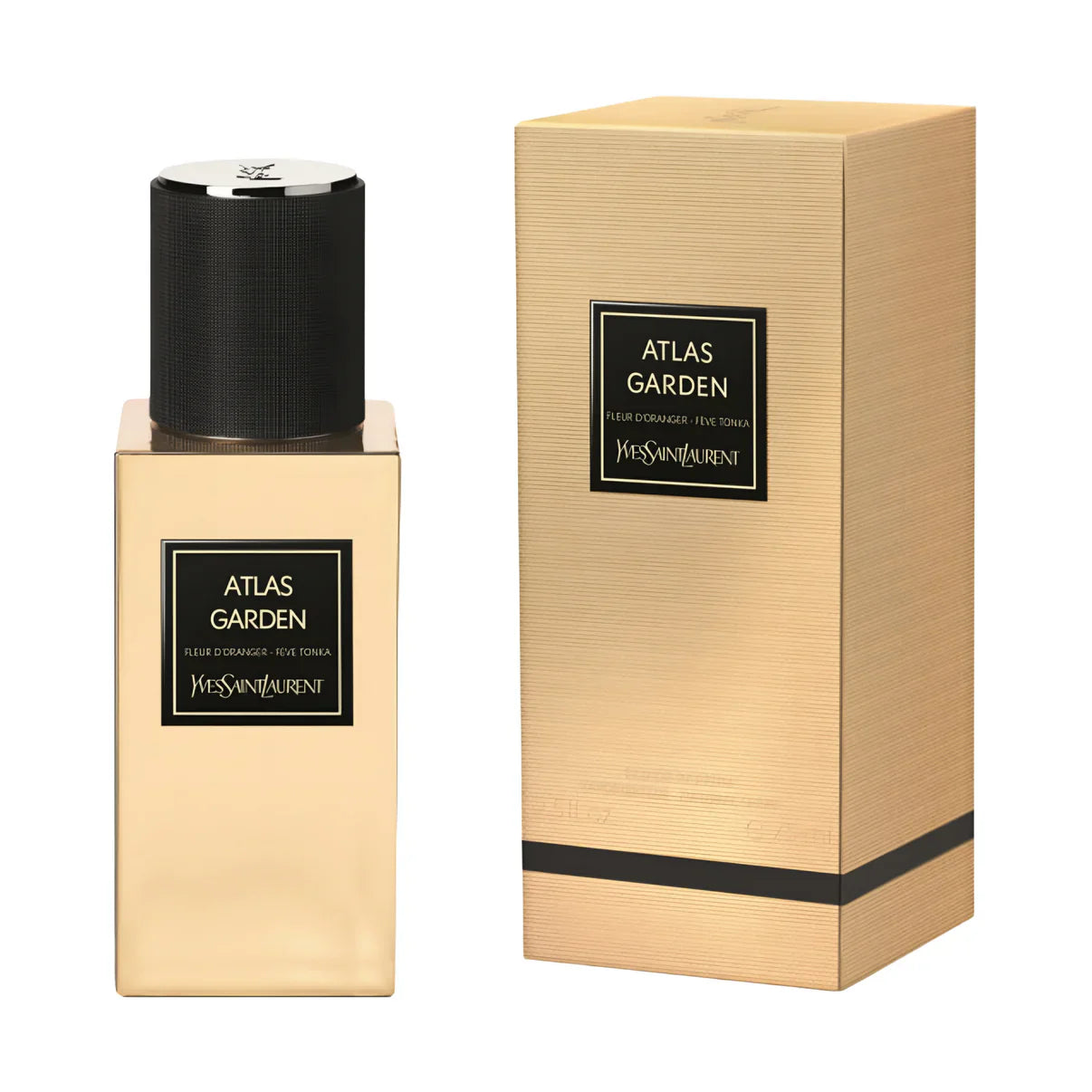 ATLAS GARDEN By Yves Saint Laurent