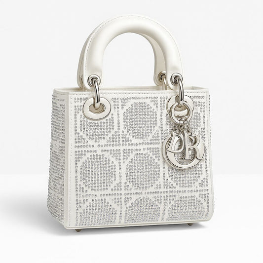 Dior bag B